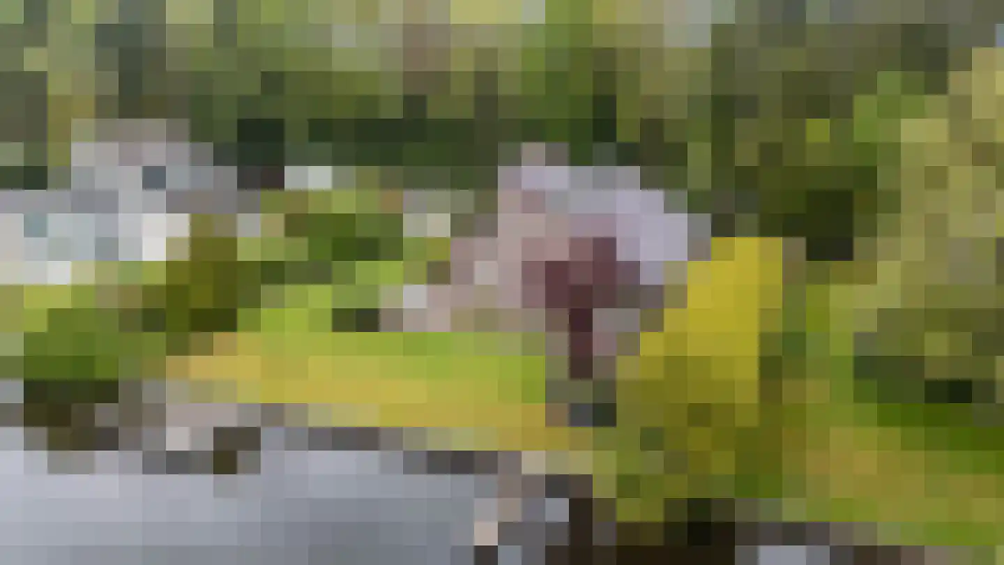Schoener 42 Kropswolde thumbnail 77