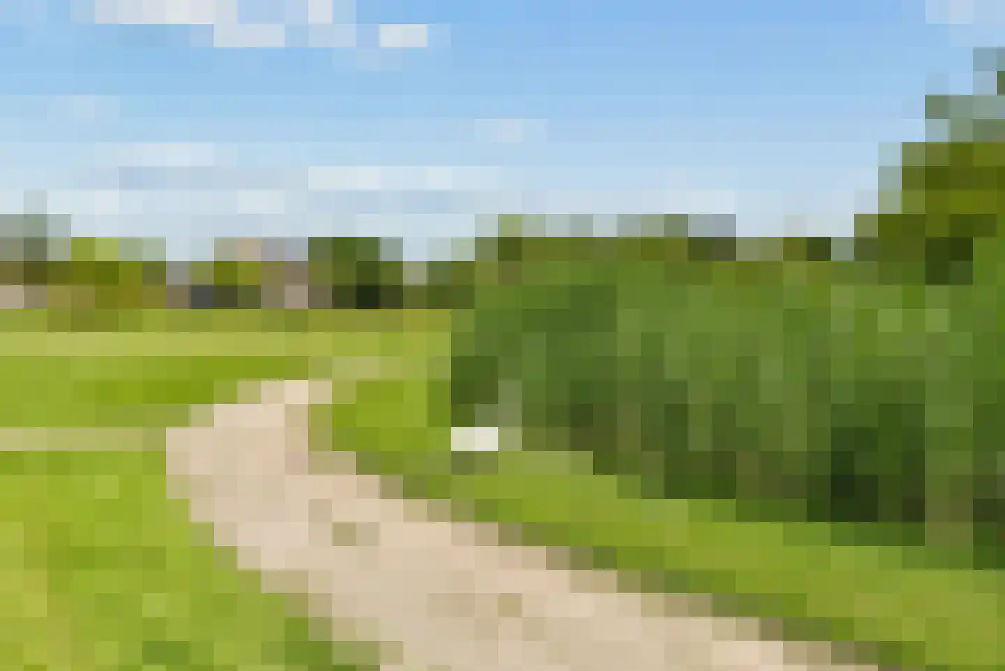 Schoener 43 2 Lelystad thumbnail 69