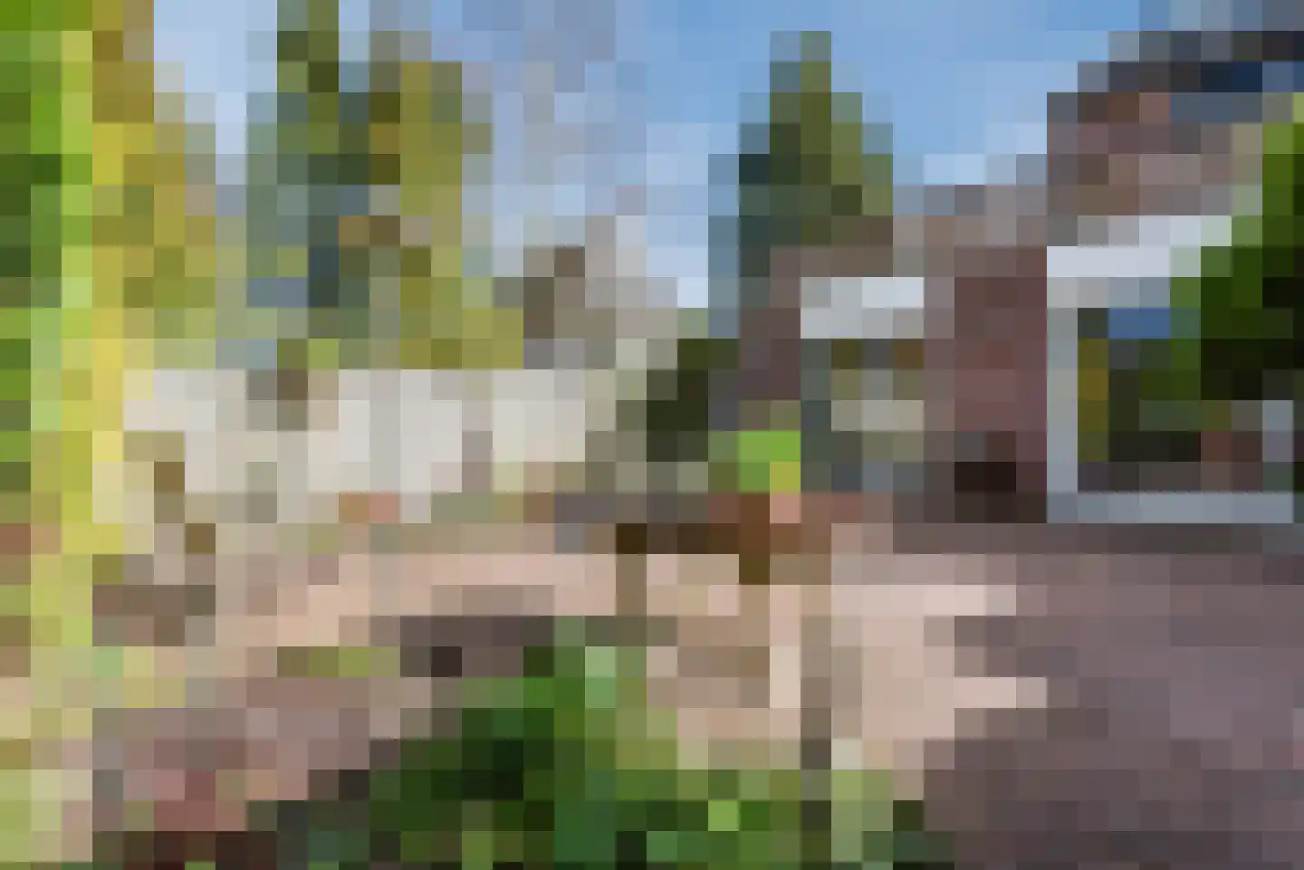 Schoener 43 25 Lelystad thumbnail 46