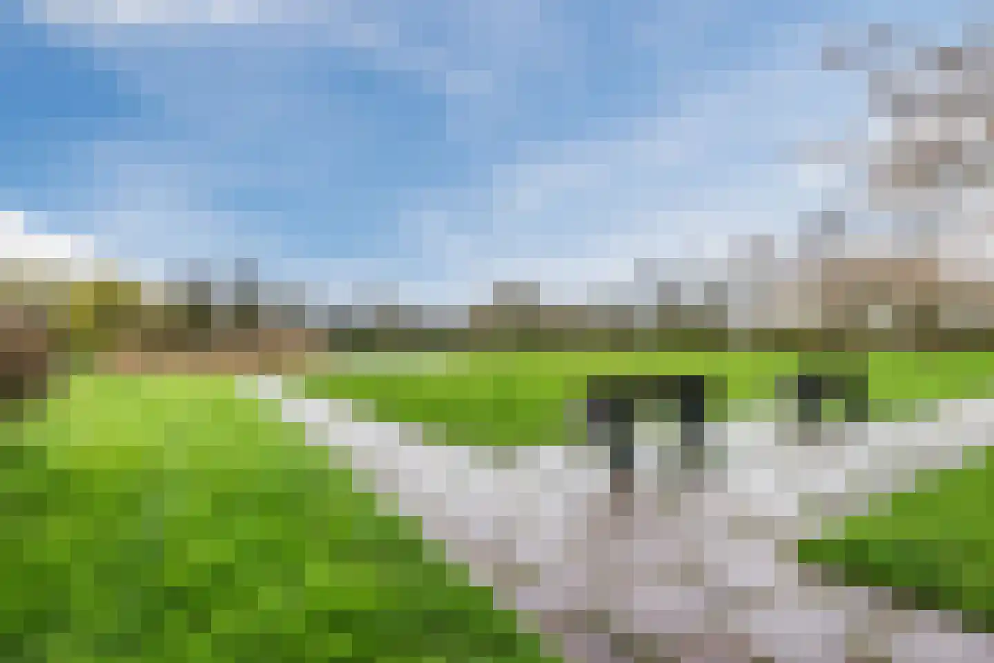 Schoener 43 25 Lelystad thumbnail 49