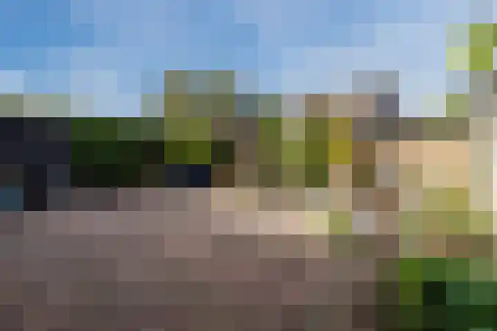 Schoener 43 43 25 Lelystad thumbnail 45