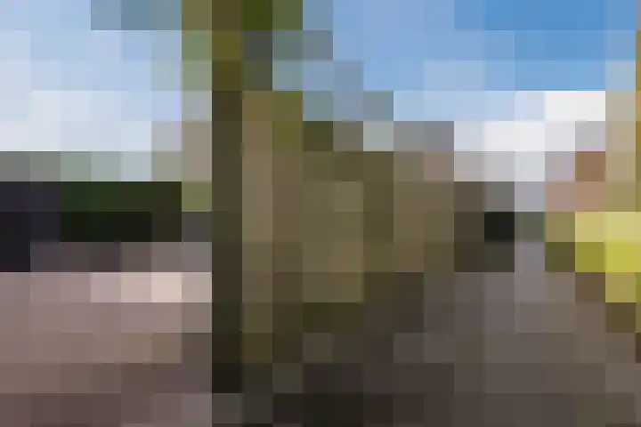 Schoener 43 43 25 Lelystad thumbnail 51