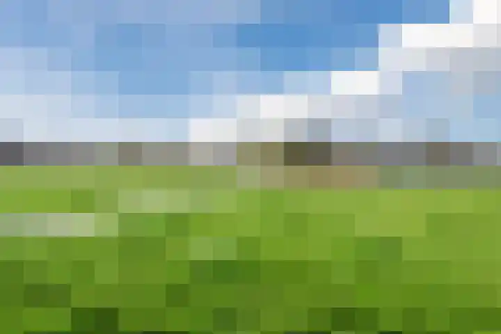 Schoener 43 43 25 Lelystad thumbnail 55