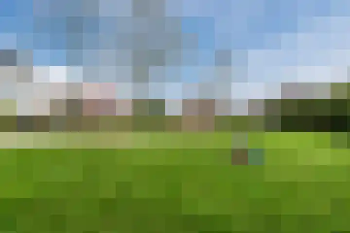 Schoener 43 43 25 Lelystad thumbnail 56