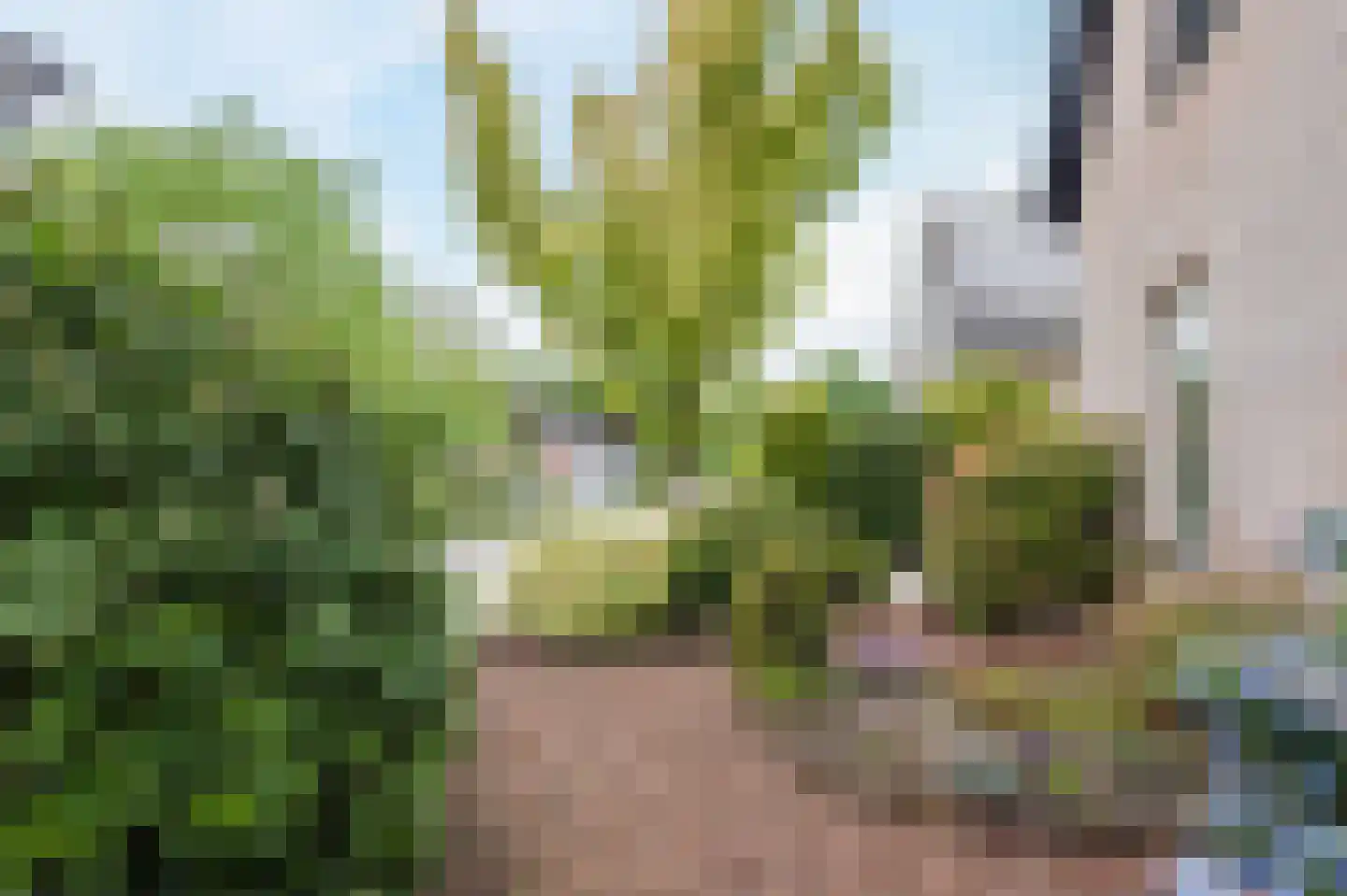 Schoener 44 7 Lelystad thumbnail 4