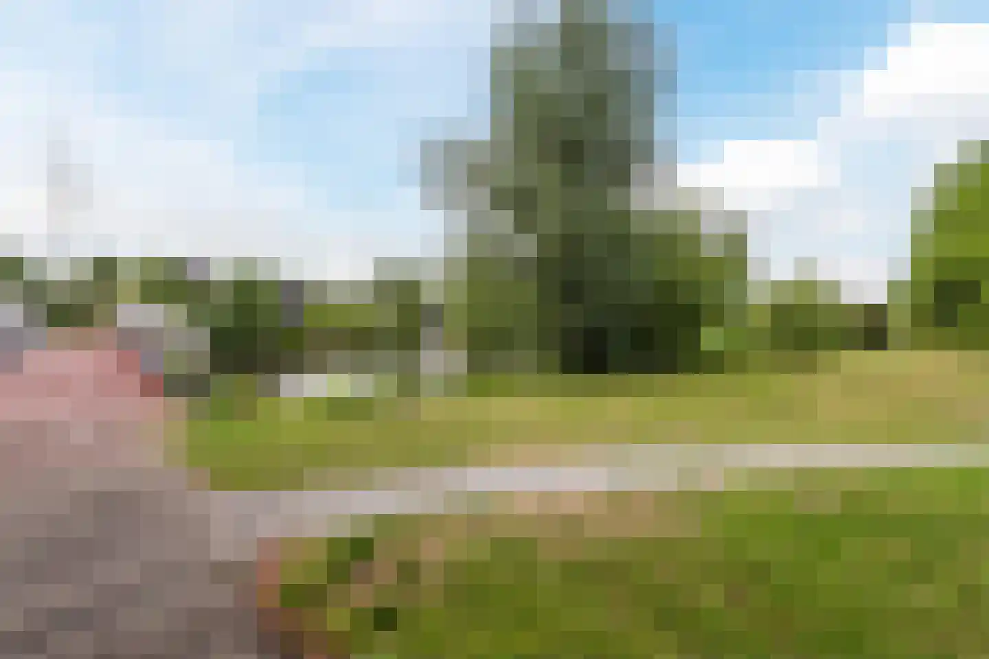 Schoener 44 7 Lelystad thumbnail 49