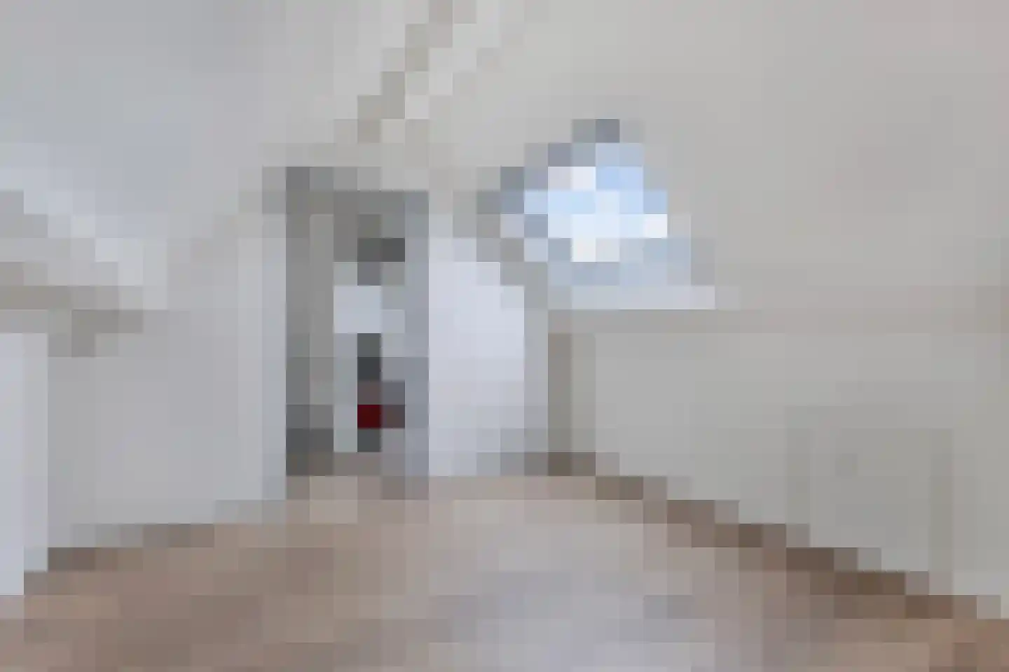 Schoener 44 Franeker thumbnail 37
