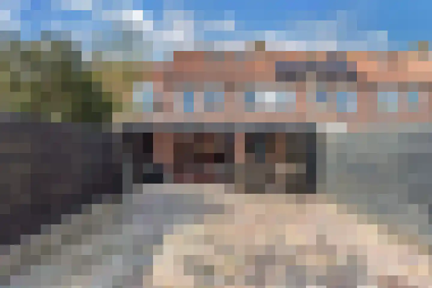 Schoener 44 Franeker thumbnail 41