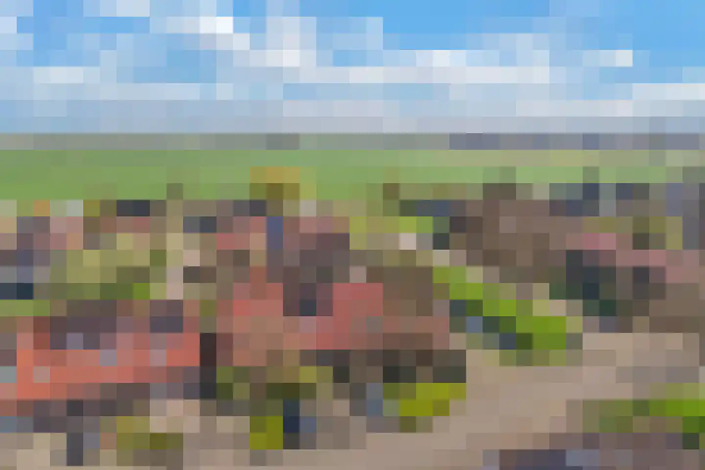 Schoener 44 Franeker thumbnail 9