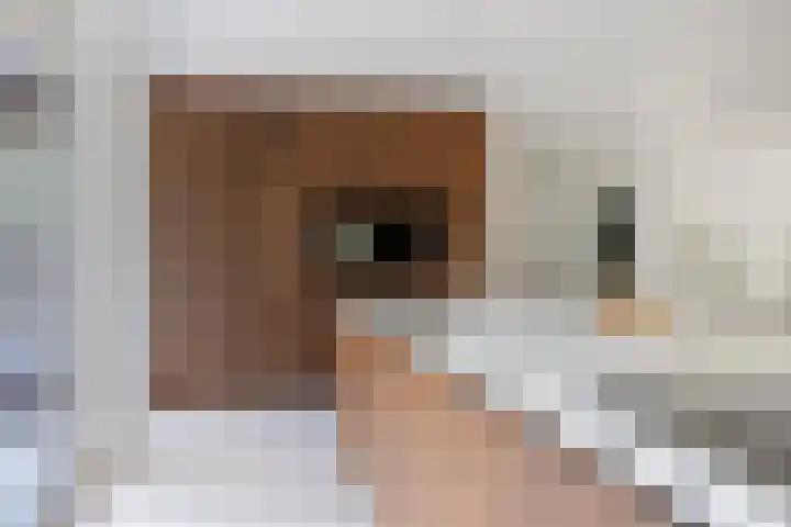 Schoener 46 a Kropswolde thumbnail 15