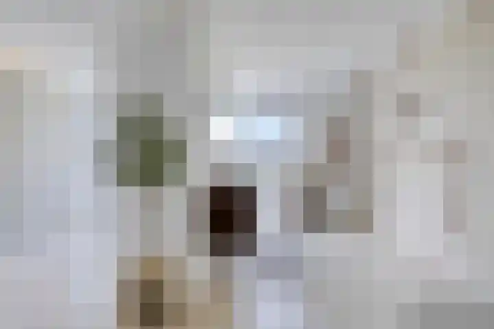 Schoener 46 a Kropswolde thumbnail 25