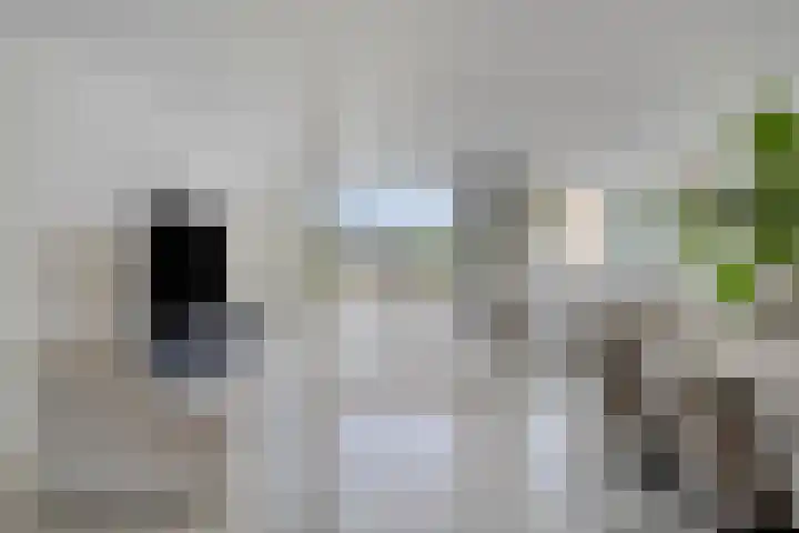 Schoener 46 a Kropswolde thumbnail 4