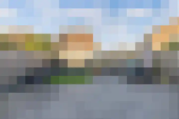 Schoener 47 14 Lelystad thumbnail 40
