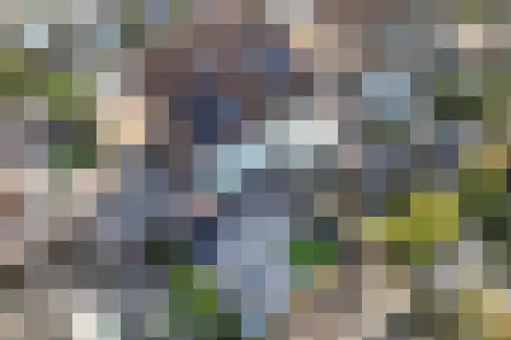 Schoener 47 14 Lelystad thumbnail 46
