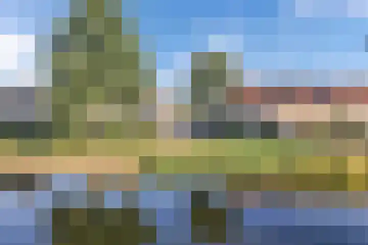 Schoener 47 14 Lelystad thumbnail 48