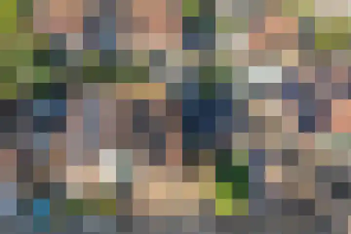 Schoener 47 14 Lelystad thumbnail 6