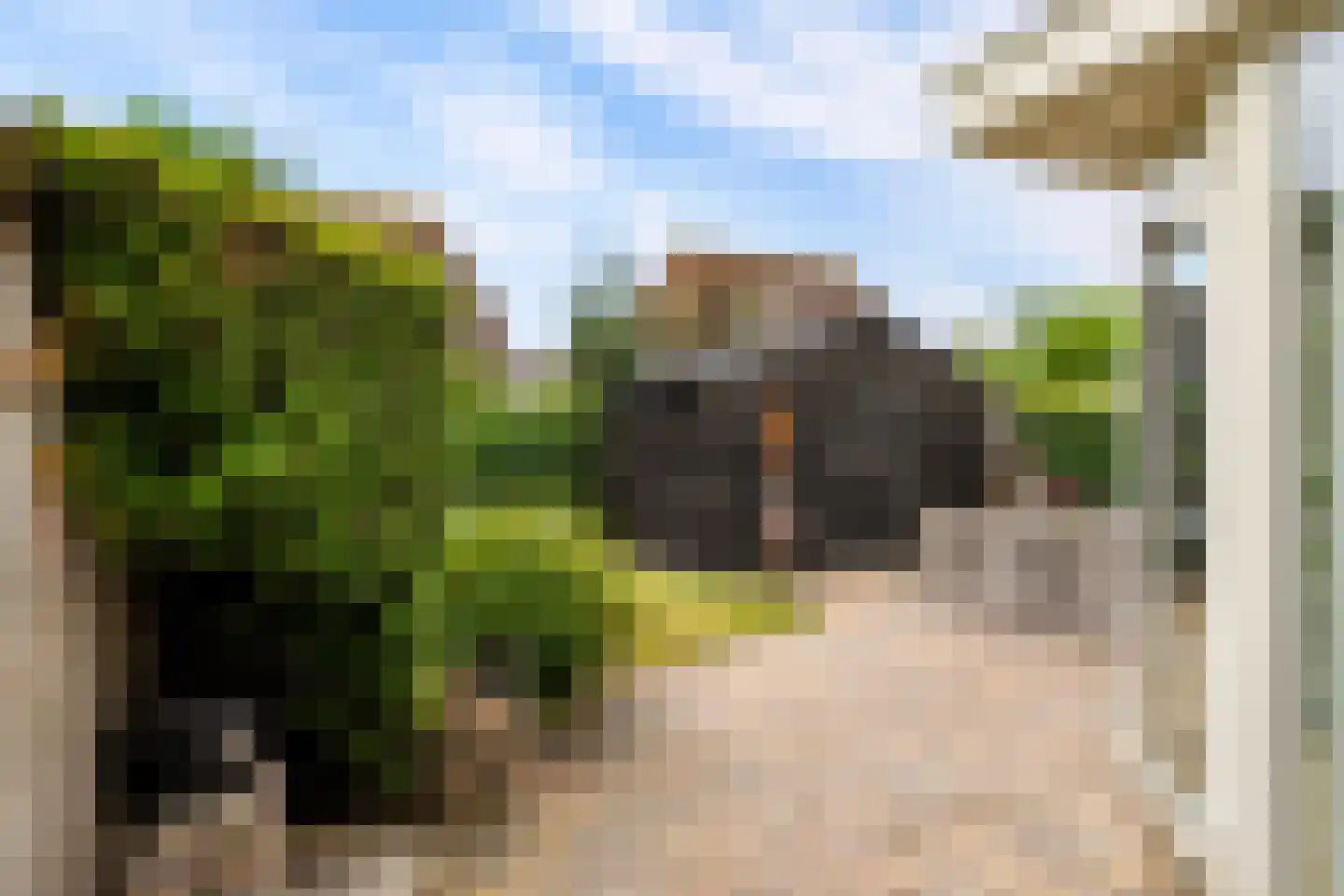Schoener 47 18 Lelystad thumbnail 30