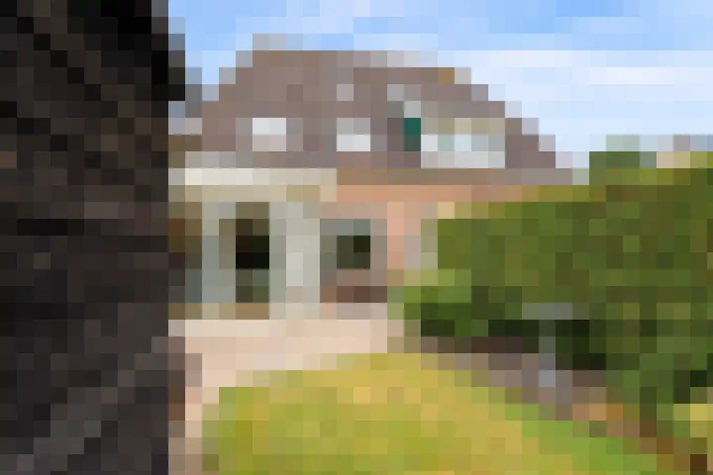 Schoener 47 18 Lelystad thumbnail 38