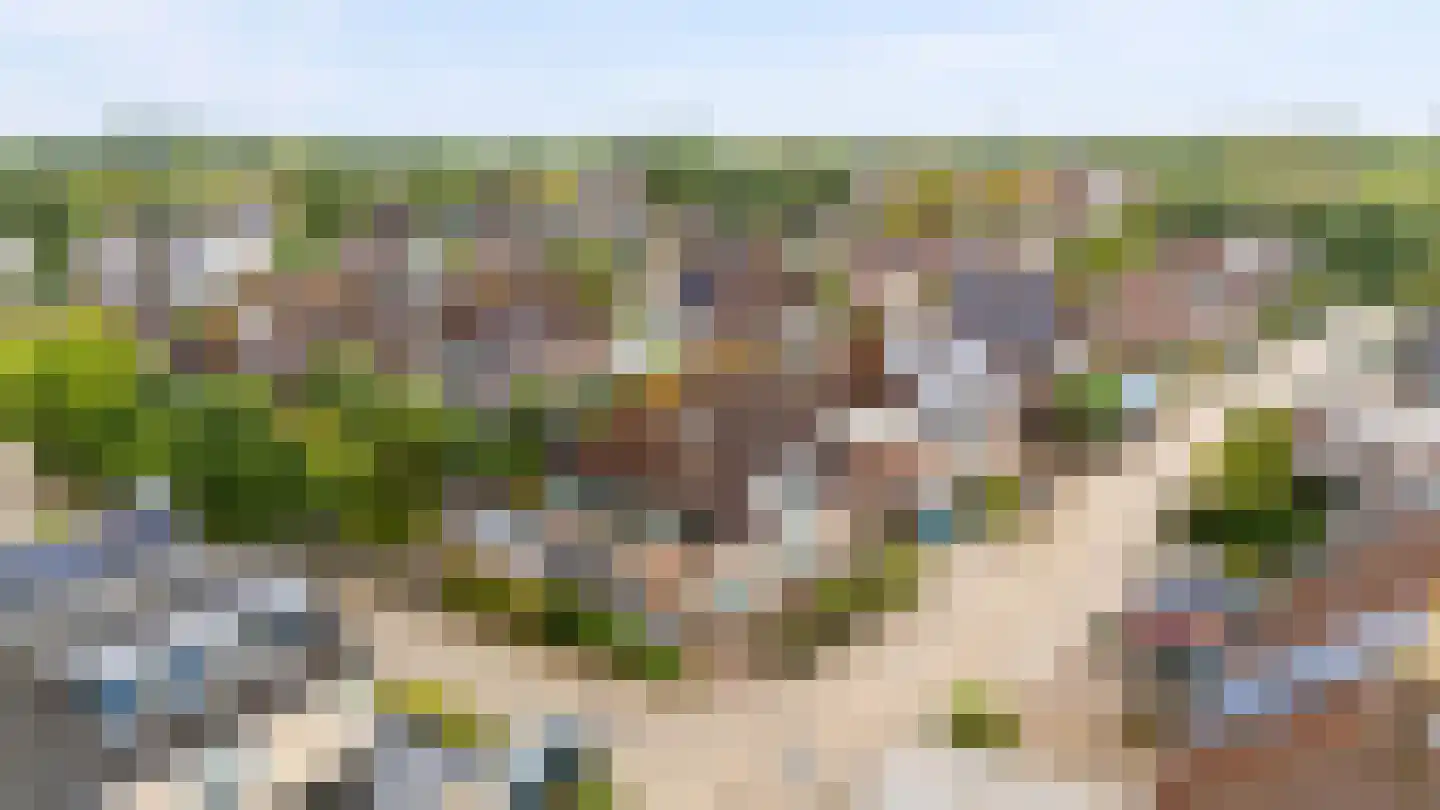 Schoener 47 18 Lelystad thumbnail 43