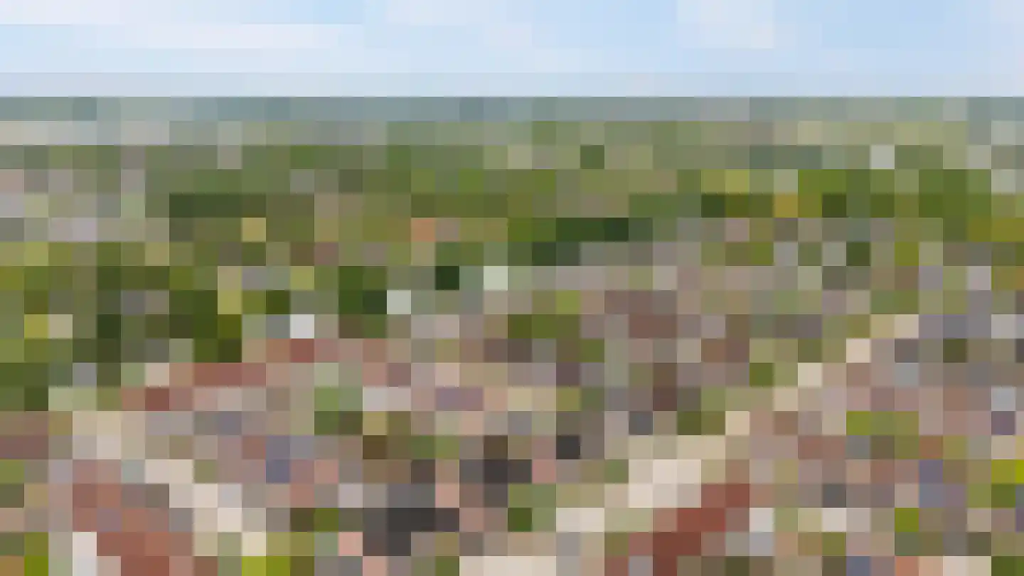 Schoener 47 18 Lelystad thumbnail 45