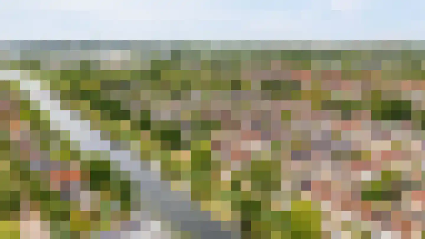 Schoener 47 18 Lelystad thumbnail 46