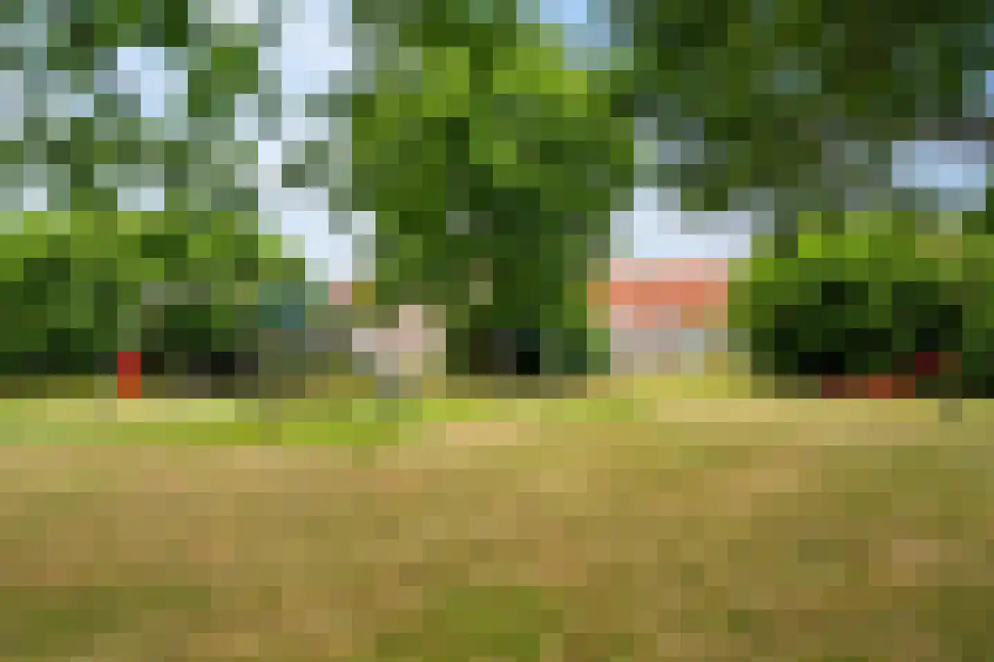 Schoener 47 18 Lelystad thumbnail 48