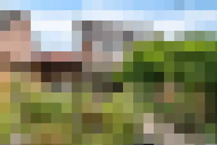 Schoener 48 30 Lelystad thumbnail 25