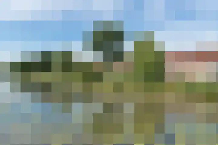 Schoener 48 30 Lelystad thumbnail 35