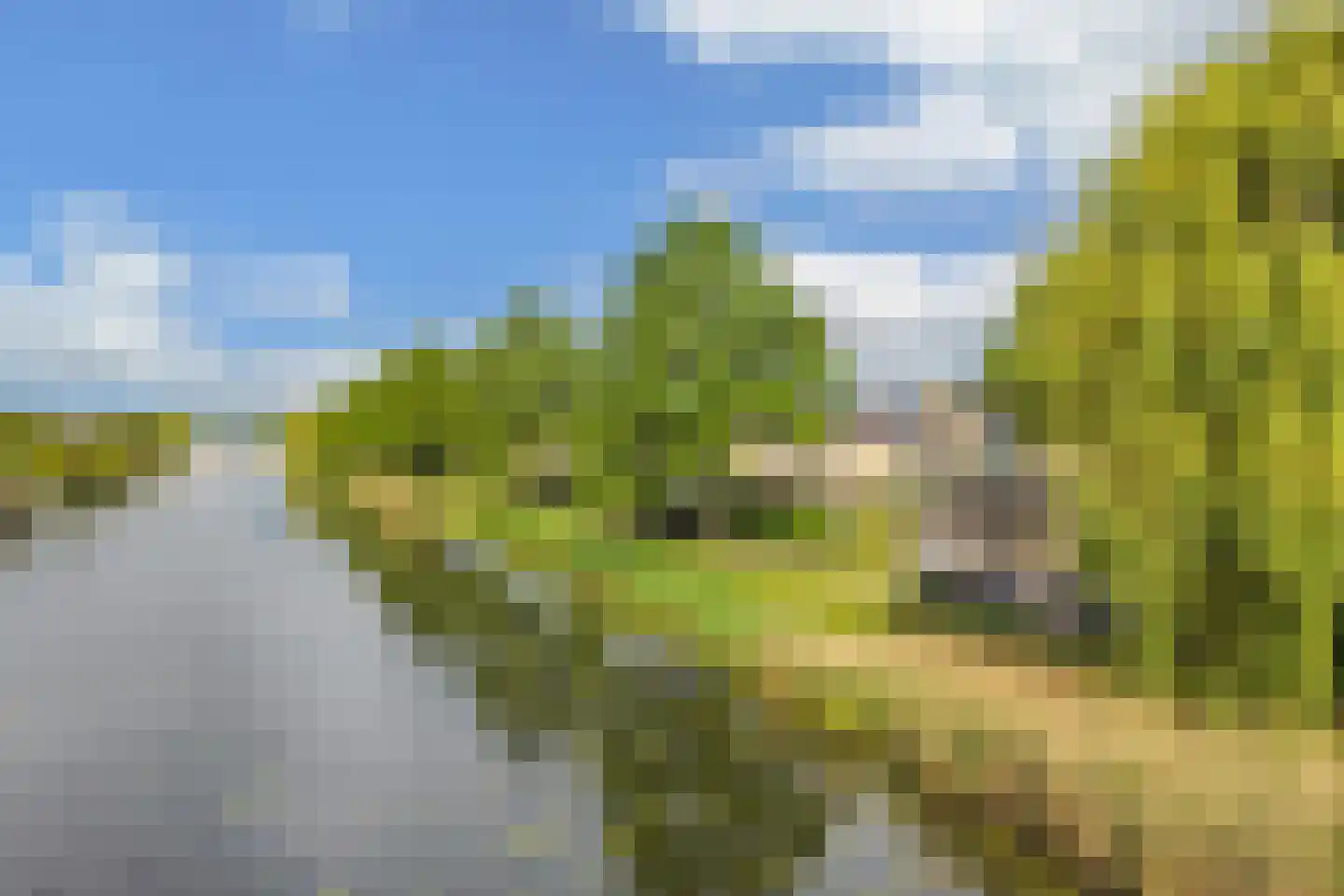 Schoener 48 32 Lelystad thumbnail 54