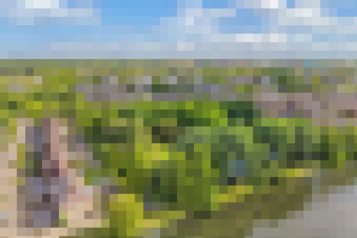 Schoener 48 32 Lelystad thumbnail 55
