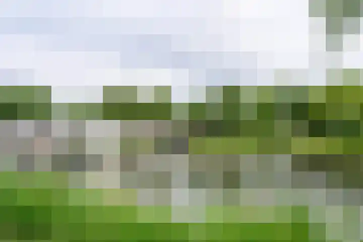 Schoener 48 48 19 Lelystad thumbnail 30