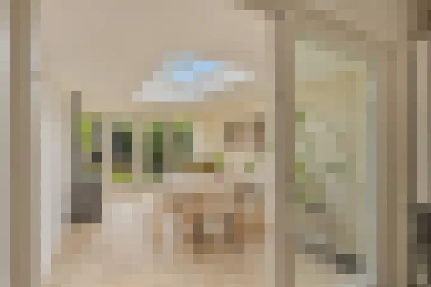 Schoener 48 Franeker thumbnail 15