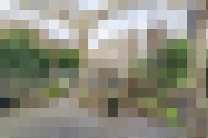 Schoener 48 Oude Wetering thumbnail 12