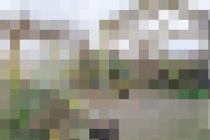 Schoener 48 Oude Wetering thumbnail 13