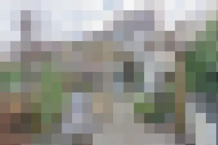 Schoener 48 Oude Wetering thumbnail 14