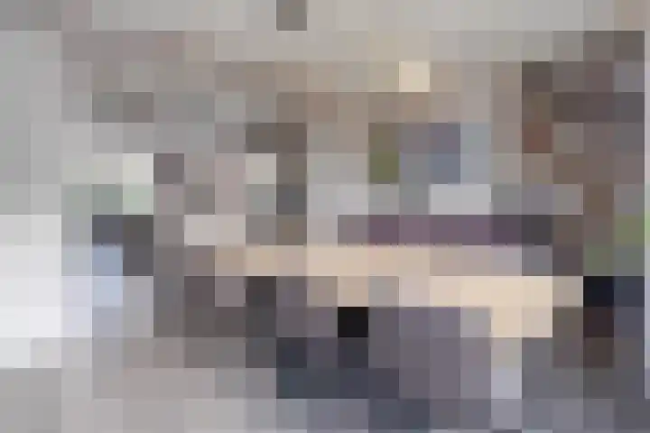Schoener 48 Oude Wetering thumbnail 4