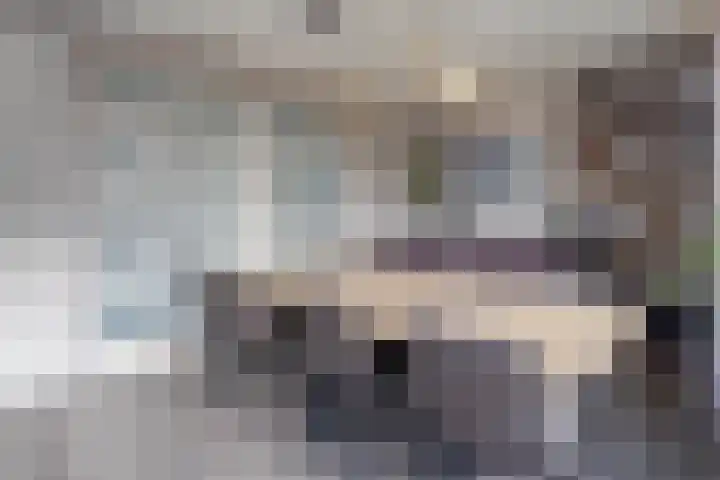 Schoener 48 Oude Wetering thumbnail 5