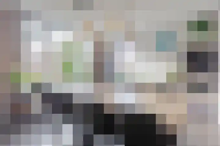 Schoener 48 Oude Wetering thumbnail 7