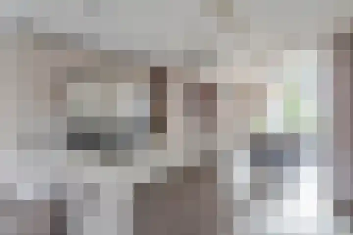 Schoener 48 Oude Wetering thumbnail 8