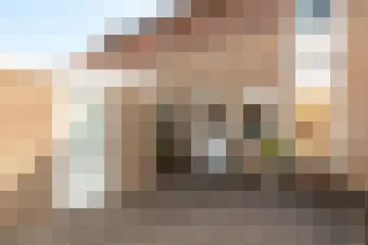 Schoener 49 33 Lelystad thumbnail 33