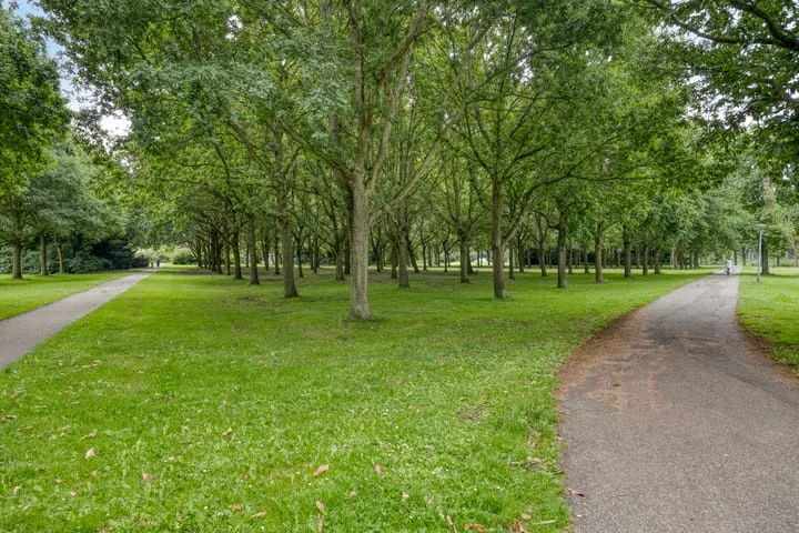 Schoener 5 Alphen aan den Rijn thumbnail 41