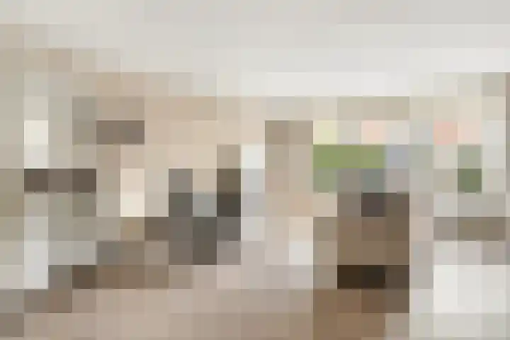 Schoener 6 Nijkerk thumbnail 10