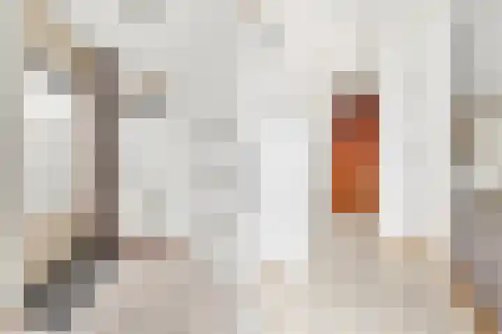 Schoener 6 Nijkerk thumbnail 16