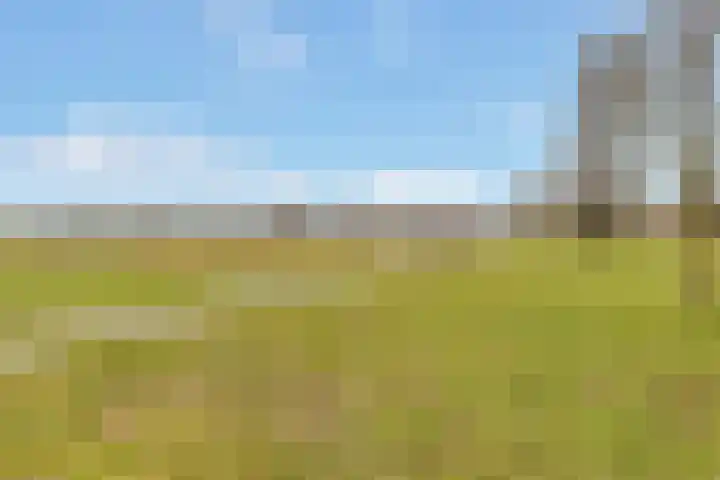 Schoener 6 Nijkerk thumbnail 28
