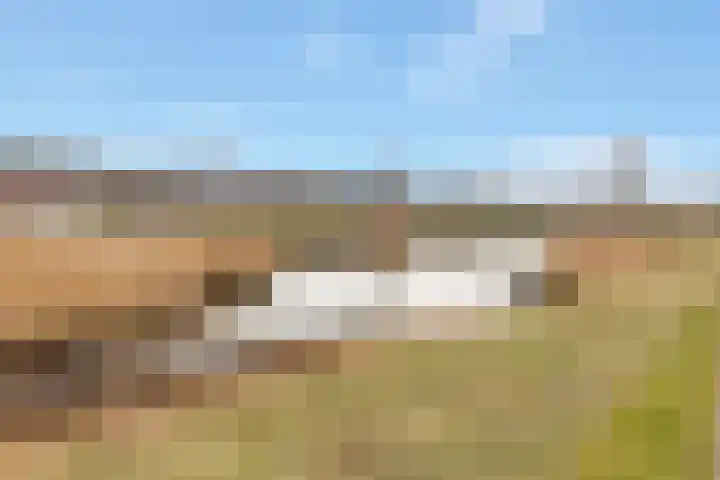 Schoener 6 Nijkerk thumbnail 5