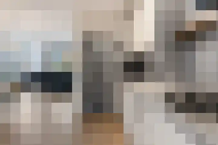 Schoener 6 Wieringerwerf thumbnail 12