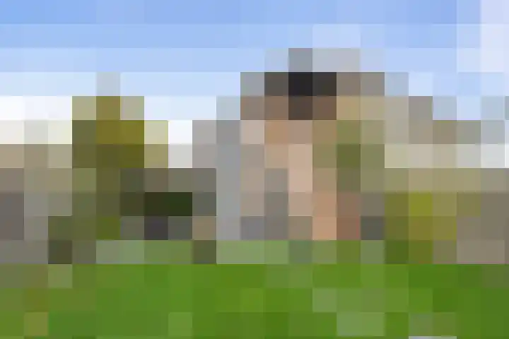 Schoener 6 Wieringerwerf thumbnail 14