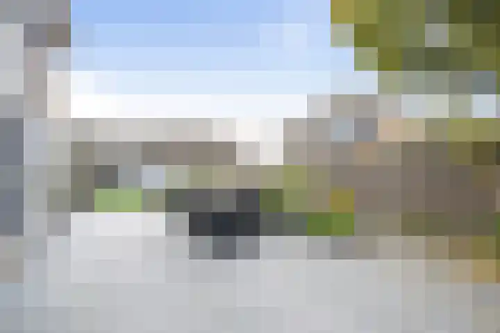 Schoener 6 Wieringerwerf thumbnail 17