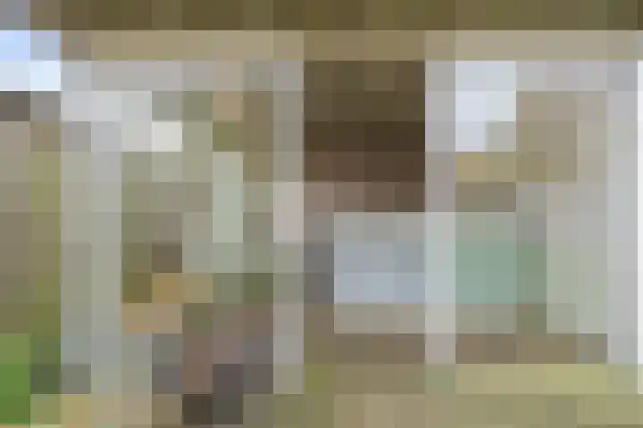 Schoener 6 Wieringerwerf thumbnail 19