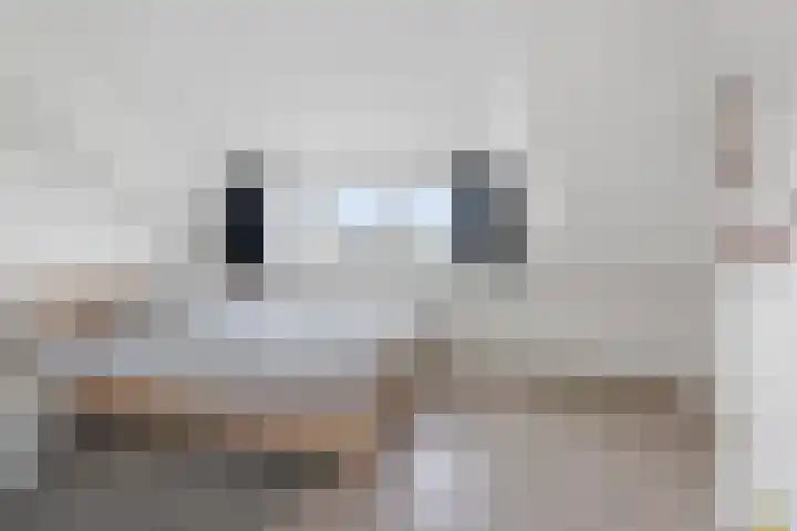 Schoener 6 Wieringerwerf thumbnail 34